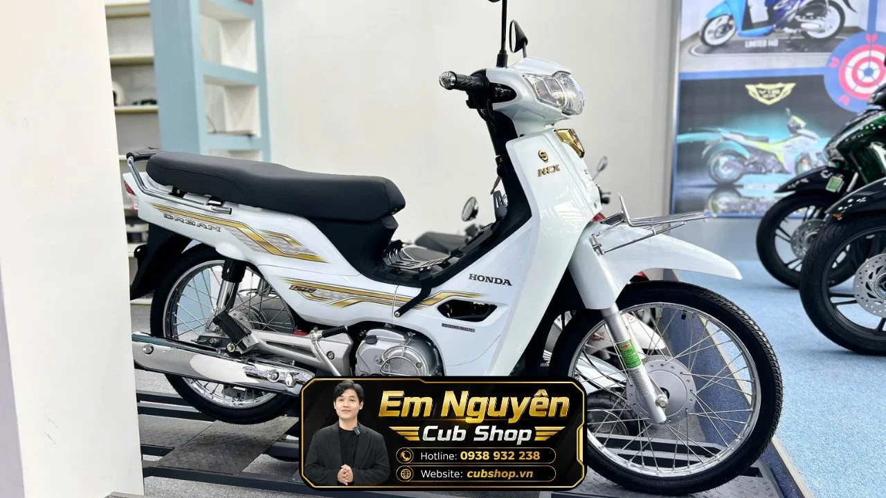 hang-hiem-dream-thai-ncx-2023-so-may-33333-tai-cubshop (1).webp