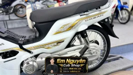 hang-hiem-dream-thai-ncx-2023-so-may-33333-tai-cubshop (7).webp